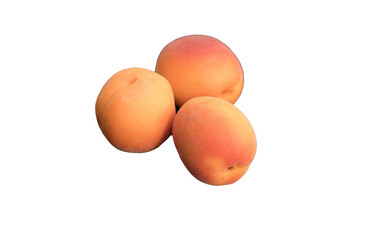 Fresh Ripe Apricots Group Isolated On White Background In Studio