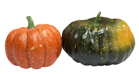 Two Decorative Pumpkins Isolated On White Background For Autumn Design