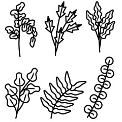 Minimalist botanical line art illustration set. Isolated Hand drawn leaves and floral branches for logo, wedding, invitation, and digital clipart.