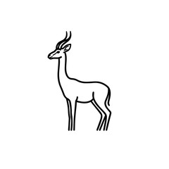 Fototapeta premium Gazelle Outline Drawing Illustration