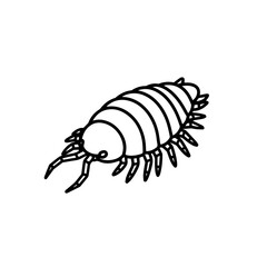 Stylized Woodlouse Bug Detailed Line Art Illustration