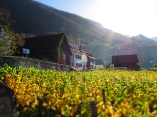 Vaduz, Liechtenstein - Diorama Effect