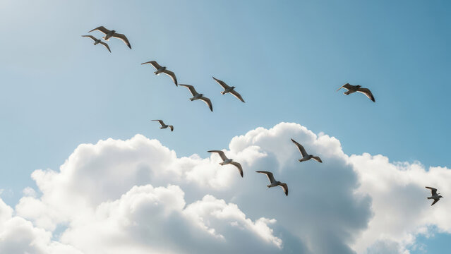 Flock of birds soaring through a cloudy blue sky