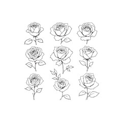 Fototapeta premium Minimalist Roses Line Art Gentle Elegant Design