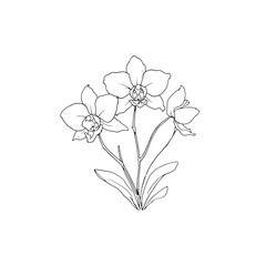 Outline Orchids line art Graceful Botanical Illustration