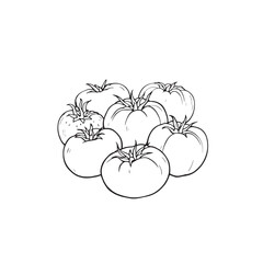 Tomato Line Art Simple Natural Organic Beauty
