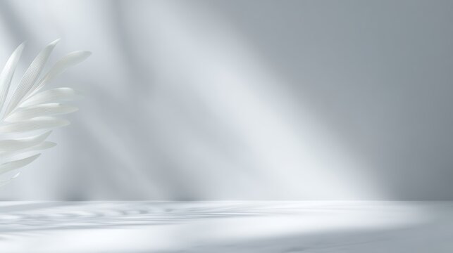 minimalist white background with subtle texture and soft shadows, clean aesthetic, elegant simplicity for branding