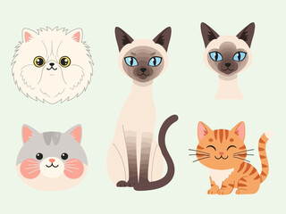 Fototapeta premium Cute cartoon cats of different breeds on a light green background illustration