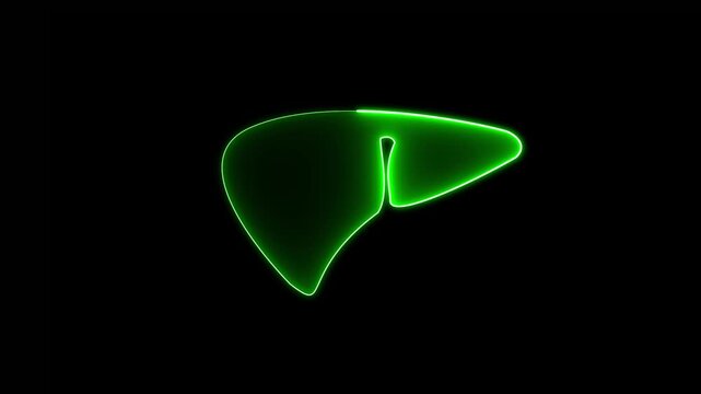 Glowing neon line human liver icon animation with cyan color. Human liver icon concept. The liver functions to detoxify the blood. Neon human organ icon,4k.