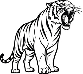Obraz premium Fierce roaring tiger standing in profile, black and white line art illustration isolated on white background