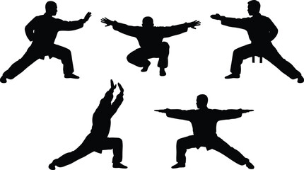 Silhouettes of a martial artist performing deep stances and defensive or striking movements, illustrating traditional combat sport, discipline, and powerful training.
