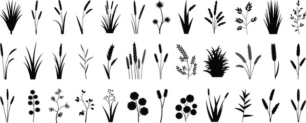 Extensive vector collection of diverse grass, wheat, botanical, and agricultural plant silhouettes, ideal for nature and farming graphic elements.