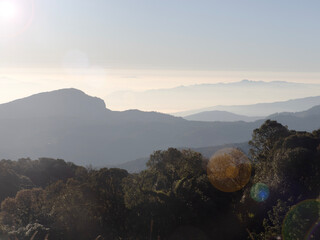 Beautiful landscape of Doi Inthanon national park in the morning at Mae Jam, Chiang Mai, Thailand.