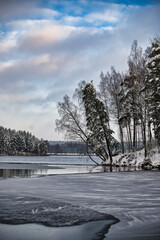 Winter landscape with snow-covered trees and a partially frozen lake under a cloudy sky