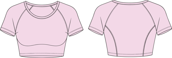 Cropped athletic top front and back flat sketch, raglan sleeve contour seam fitted silhouette, cad drawing flat vector illustration fashion template