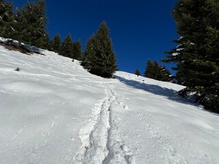 Obraz premium Wonderful winter hiking trails and traces in the fresh alpine snow cover of the Swiss Alps and over the village of St. Antönien - Canton of Grisons, Switzerland (Kanton Graubünden, Schweiz)