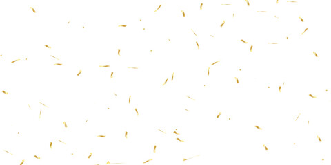 scattered array of golden confetti pieces falling against a stark white background and celebratory atmosphere. Perfect for adding a touch of sparkle and joy.
