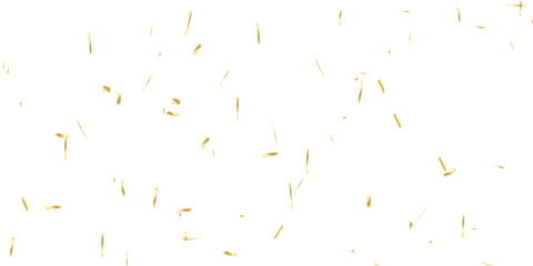 scattered array of golden confetti pieces falling against a stark white background and celebratory atmosphere. Perfect for adding a touch of sparkle and joy.