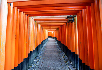 Fototapeta premium The most beautiful viewpoint of Fushimi Inari Taisha(Fushimi Inari Shrine) is a popular tourist destination in Kyoto City, Japan.Fushimi Inari-taisha Gate(Fushimiinari-taisha)