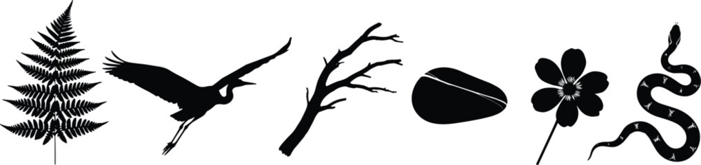 Naklejka premium Nature silhouette icons, fern, bird, branch, seed, flower, snake, black symbols, biodiversity elements, outdoor theme, minimal graphic set