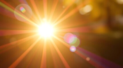 Bright sunlight flares with bokeh in an outdoor setting.