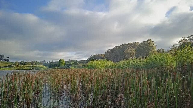 Pataua beach in Whangarei, Northland, New Zealand.