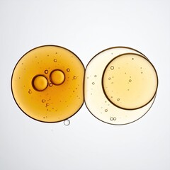 Two overlapping, circular, liquid samples.  One amber, one a lighter gold-yellow. Small air bubbles are visible in both.  A neutral background