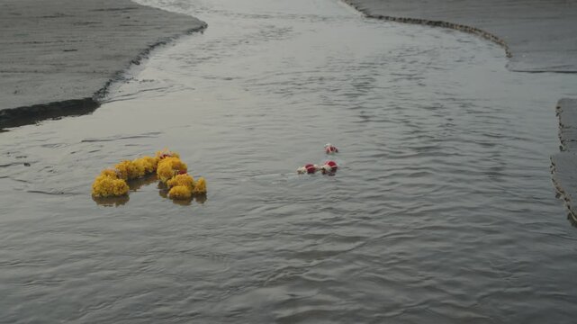 A marigold garland and small red objects float in shallow flowing water on a sandy beach. The scene is calm and symbolic.