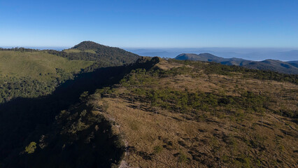Christmas fir tree  Background. Christmas pine tree wallpaper. Copy space.