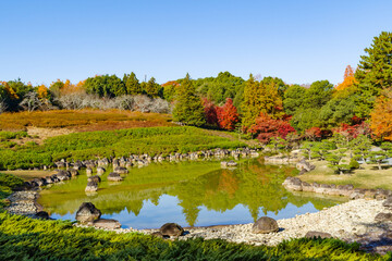 紅葉の綺麗な庭（愛知県豊田市　愛知県緑化センター）