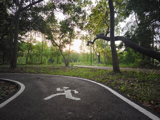Running Path in Serene Forest Park at Sunrise