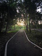 Sunset Path Through Forest Park Trees