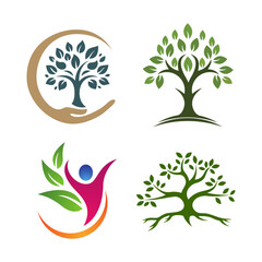 Collection of four nature and wellness inspired logo designs