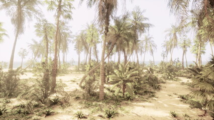 Fototapeta premium In a serene tropical landscape, palm trees tower over sandy trails leading to the distant ocean. Sunlight filters through the foliage, creating a tranquil atmosphere.