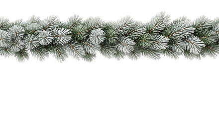 christmas tree branch