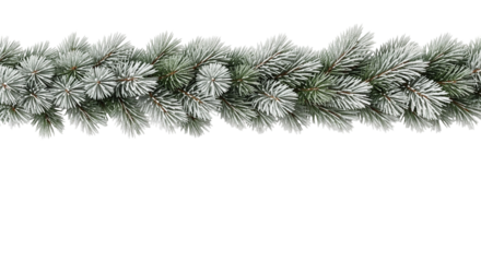 christmas tree branch