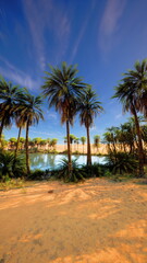 Fototapeta premium Lush palm trees stand tall near a calm oasis, reflecting the vibrant blue sky. The golden sands of the desert enhance this serene and peaceful landscape, inviting exploration.