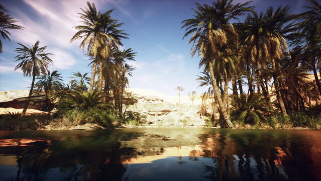 A serene oasis lies quietly among lush palm trees, reflecting tranquility in the clear water. The warm sun casts gentle shadows, creating a peaceful retreat in natures embrace.