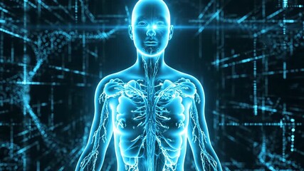Digital representation of human body anatomy with glowing blue circulatory system inside a futuristic data network - Powered by Adobe