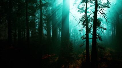Naklejka premium Tall trees loom in a foggy forest, their silhouettes dark against a soft blue glow. The mist creates an ethereal atmosphere, inviting exploration and wonder within this serene landscape.