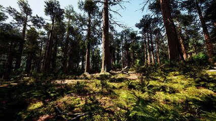 Beneath a canopy of towering trees, sunlight streams down onto the forest floor. Ferns and shrubs add vibrant greenery to the serene, tranquil landscape.