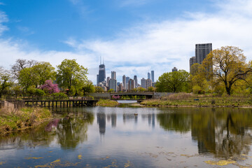 Fototapeta premium View from Lincoln Park Zoo with the Chicago skyline in the distance, including the Willis Tower. Reflection of city and sky in the water. Urban architecture meets natural scenery.