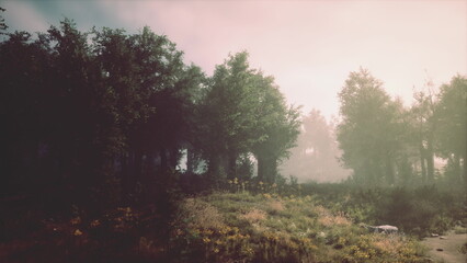 Obraz premium Gentle fog blankets a lush forest as morning sunlight filters through the trees. Wildflowers add bursts of color to the tranquil scene, creating a peaceful atmosphere of nature.