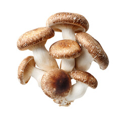 Cluster of fresh shiitake mushrooms isolated on transparent background