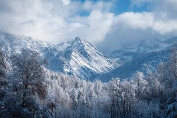 Obraz premium Winter wonderland scenery with snow-covered trees and mountains under a cloudy sky