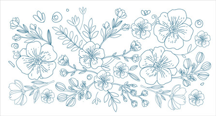 Outlined botanical pattern with wild flowers. Seamless repeating floral background with herbs print. Black and white vintage texture with herbal field plants, Hand Drawn vector illustration