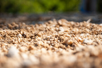 Exploring soil composition and texture natural environment close-up outdoor setting