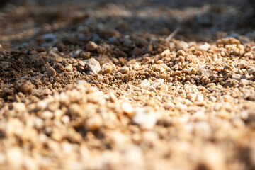 Exploring textured soil surface nature trails outdoor close-up earth elements