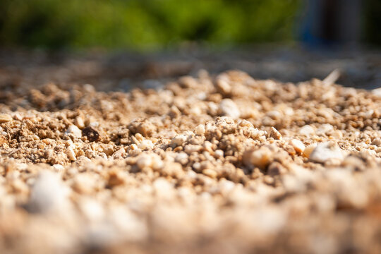 Exploring soil composition and texture natural environment close-up outdoor setting
