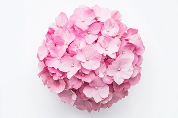 A vibrant pink hydrangea bouquet with a variety of flowers, including pink and white blooms, arranged in a circular pattern on a white background.